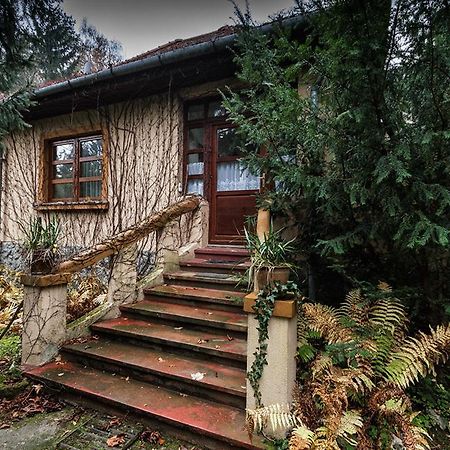 Boroka Apartmanhazak - Oereghaz Velem Kamer foto