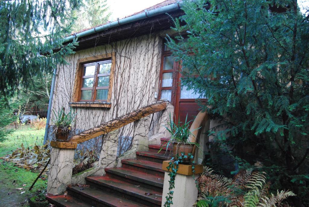 Boroka Apartmanhazak - Oereghaz Velem Kamer foto